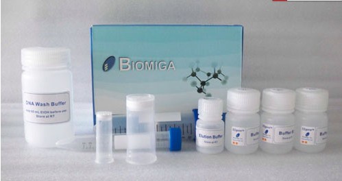 质粒小量提取试剂盒